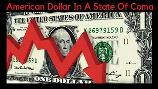 American Dollar In A State Of Coma