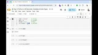 DAY 3: Python in 60 Seconds: Variables & Data Types