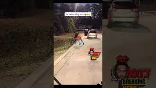 Кусты тоже в драке🤣🤣 #шорты #смешно #смех