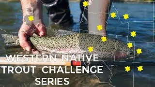 Western Native Trout Challenge - Catching 18 Species in 12 States - Tenkara Fly Fishing