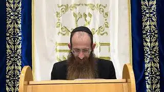 ״שמואל ב פרק ו׳ שמחת דויד  המלך בהעלאת הארון״ ביאורים נפלאים מהרב לוי פלדמן
