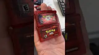 Can He Find The FAKE Pok&eacute;mon Ruby In Time?