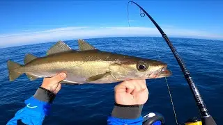 This is WHY YOU SHOULD be lure fishing in CORNWALL | Inflatable Boat Fishing