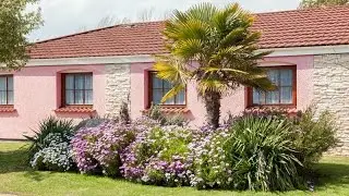 Starsurfer Bungalows at Welcome Family Holiday Park