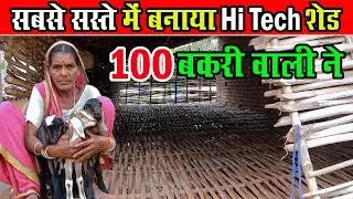 सबसे सस्ते में बनाया Hi Tech बकरी फार्म शेड। low cost Hi Tech Goat Farm । Sasta Me Bakri Shed ।।