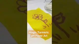 Acid Base Chemistry Craft: pH Paper Art Using Turmeric