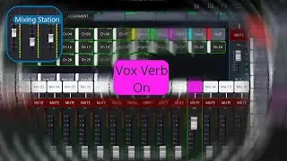 how to Custom Mute vocals from reverb bus with Mixing Station