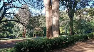 Experience Bush adventure&Nature In An African City For Less than 1💲|Nairobi Arboretum|Kenya