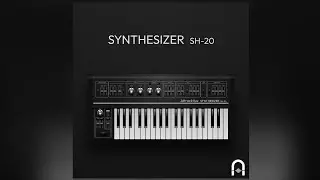 Attracktive - SH-20 | Raw 70's Vintage Tone | $10