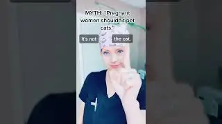 You DO NOT have to toss your cat if you are pregnant