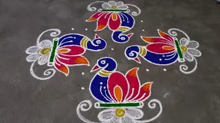 Sankranthi muggulu || kanuma rangolis || rangoli designs ||
