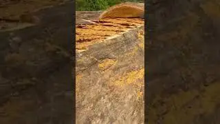 this is a piece of wood that is being split or carved by workers