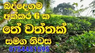 Valuable Tea Land with House for Sale in Baddegama | land for sale in Galle | #land #jpropertyinvest