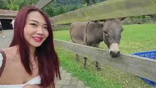 Bali Vlog, Bali Farm house and more! 