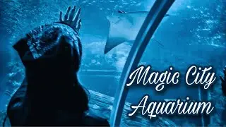 Magic City Aquarium || Мой ночной обзор аквариума в Мэджик сити