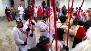Capra Băltenilor 02.01.2016 -Fam. Sarca