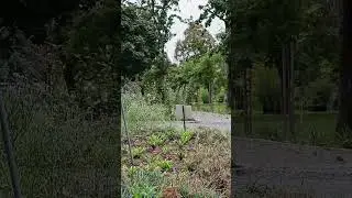✨ Naturens blomstrende skj&oslash;nnhet &ndash; En oase av ro og glede ✨