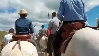1er Juin 2024 Longue Abrivado Manade Aubanel À St. Bonnet Du Gard