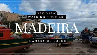 Most Scenic Village in Madeira? C&acirc;mara de Lobos Walking Tour 4K