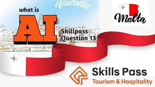 AI Tips for Skillpass Interview | Answer Confidently in 2025 | Malta Skillpass 🇲🇹 | VFS Global