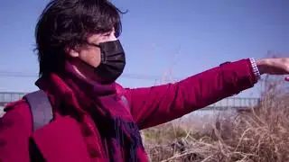 旧矢作橋脚杭か⁉　名鉄矢作川橋梁下流附近木杭列　NHK取材映像(未公開)