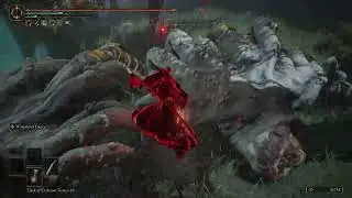 Elden Ring Gravity Bow Rachel YouTube