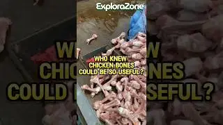 Turning chicken bones into something useful! From waste to animal feed and fertilizer. #funfacts