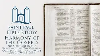 Harmony of the Gospels [The Greatest Commandment] | Bible Study (Fr. Matthias Shehad)