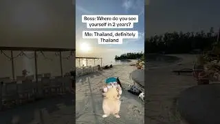 Thailand is a place to go          #thaitrip #beaches