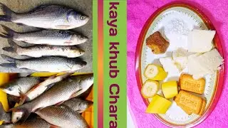 Best rohu fish bait Fishing bait fish bait Fishing bait making #Indfishhunter O1