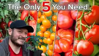 The Only 5 Tomatoes You Need To Grow This Year - Tomato Varieties For Every Recipe
