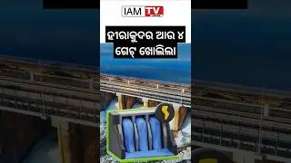 Hirakud Dam Opens 4 More Gates | Odisha Flood Alert | IAMTV Odisha