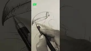 Toucan Art🐦 Broken Beak, Unbroken Spirit.❤️‍🩹 टूटी चोंच, पर टूटा नहीं हौसला |#art #drawing 2026