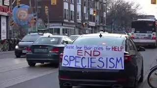 Exposing Speciesism