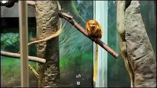 A Peaceful Day at Toronto Zoo | Winter Zoo Vlog