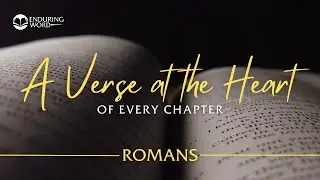 Giving Account to God - Romans 14:10-12