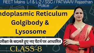 Endoplasmic Reticulum, Golgi Body & Lysosome | Class 8 Biology | REET Mains New Pattern