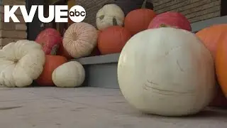 Dallas mom starts business decorating porches for Halloween and fall