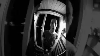 Front door camera footage #aigenerated #aisimulation #bizarre #catatdoor #cctvfootage #confusing