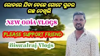 Roda Re Jiba Bele Gote Sundara Gacha Dekhili || New Odia Vlogs 2026 | Odia New Vlogs | Odia Vlogger 