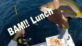 Yellowtail Snapper Porgy and Grunt Catch Clean Cook (Part 1)