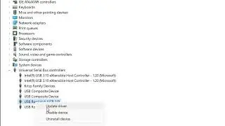 Как включить/отключить USB-порты в Windows 11/10
