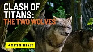 Warring Spirits: The Saga of the Two Wolves