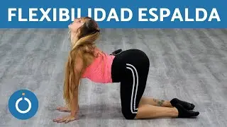 Cómo GANAR flexibilidad de ESPALDA en CASA || 5 Minutos ||