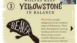 Ecology: Trophic Cascades and Keystone Species