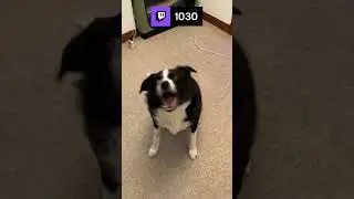 Fred&rsquo;s trick (clever Hans)