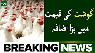Chicken Price Today in Pakistan | Massive Hike! | New Rates Jan 2026 | Breaking News