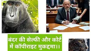 The Curious case of copyright on selfies of a monkey 🐒#facts #copyright #ai 