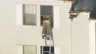 Firefighter saves cat from burning apartment