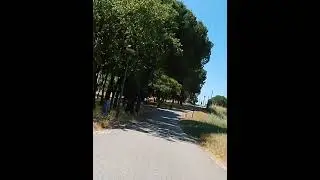 Parque da Bela Vista - Path 1